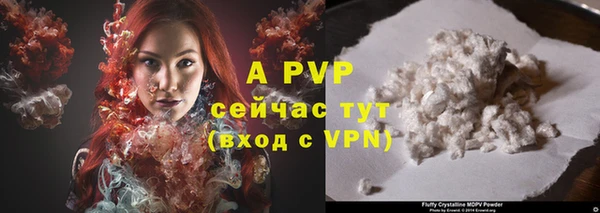 винт Алексин