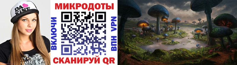 Купить где  Советская Гавань  Галлюциногенные грибы Psilocybe 